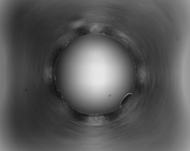 X0000089390571200706151224