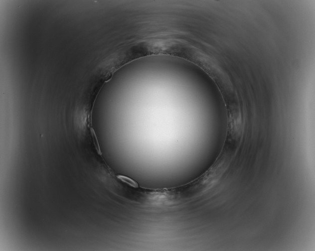 X0000089390574200706151224