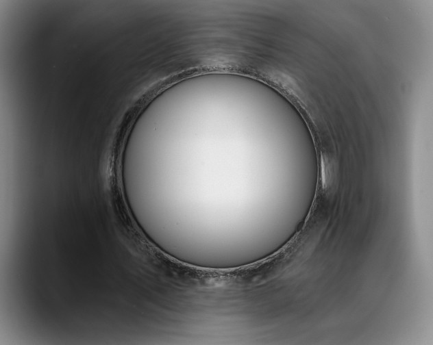 X0000089390579200706151224