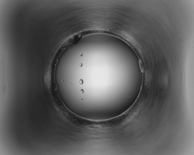 X0000089390580200706151224