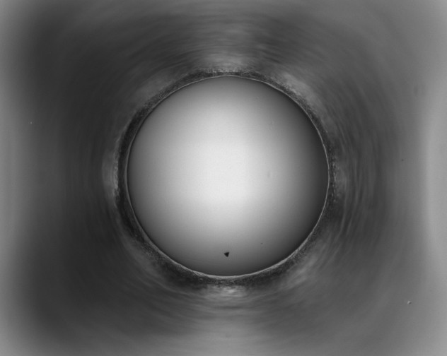 X0000089390582200706151224