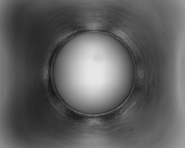 X0000089390583200706151224