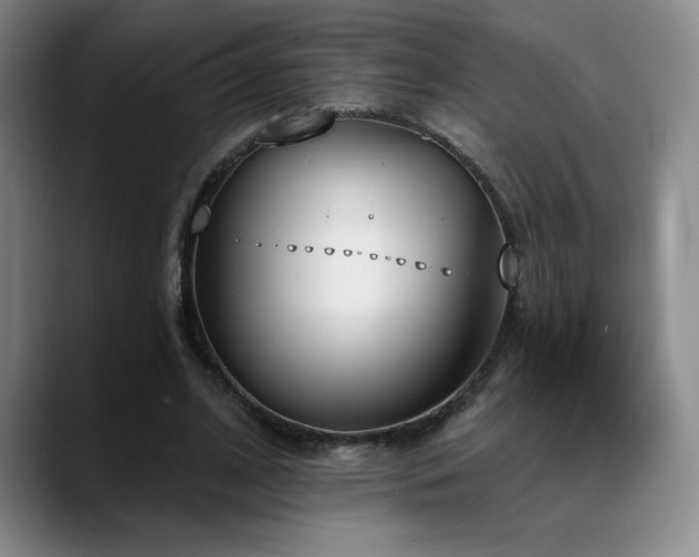 X0000089390584200706151224