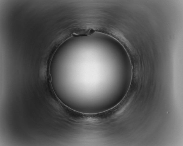 X0000089390585200706151224