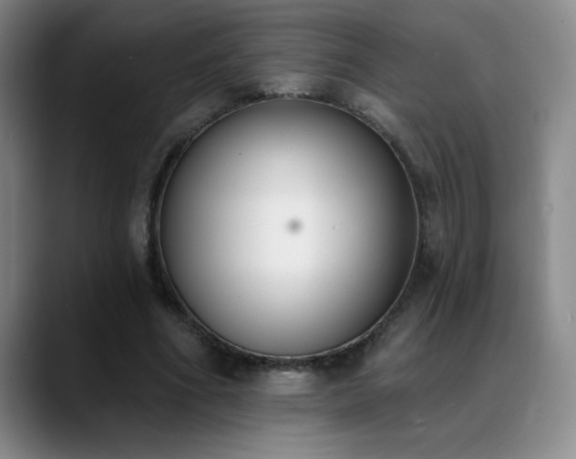 X0000089390586200706151224