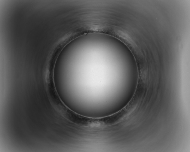 X0000089390587200706151224
