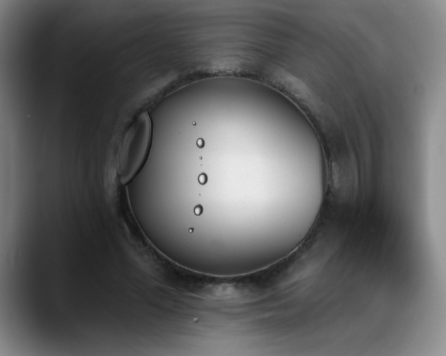 X0000089390588200706151224