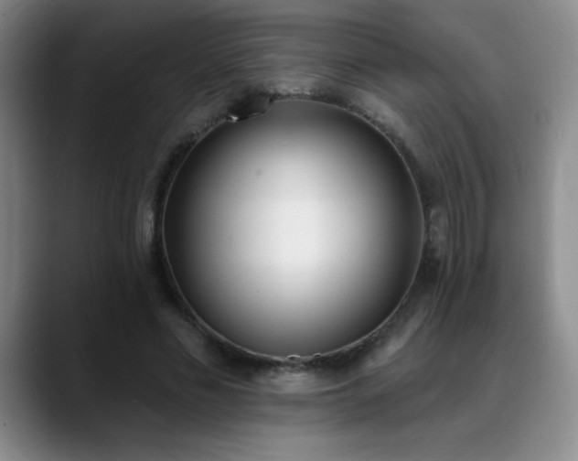 X0000089390589200706151224