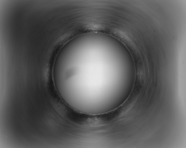 X0000089390591200706151223