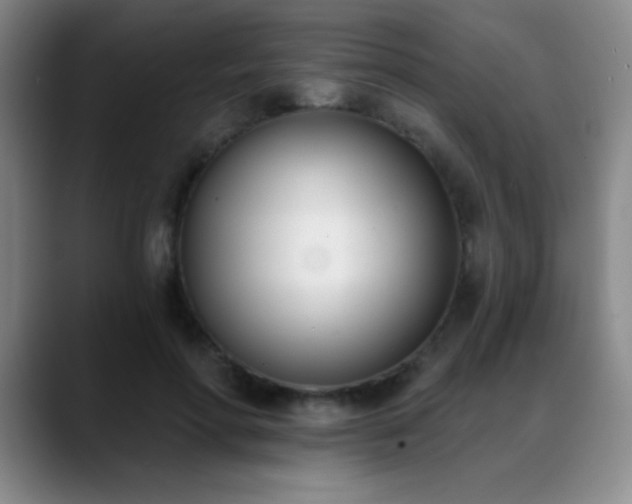X0000089390598200706151223
