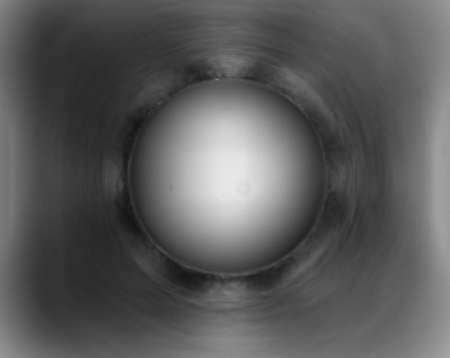 X0000089390599200706151223