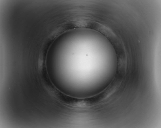 X0000089390600200706151223