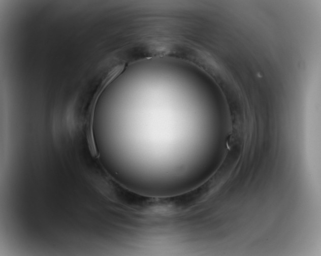 X0000089390601200706151223