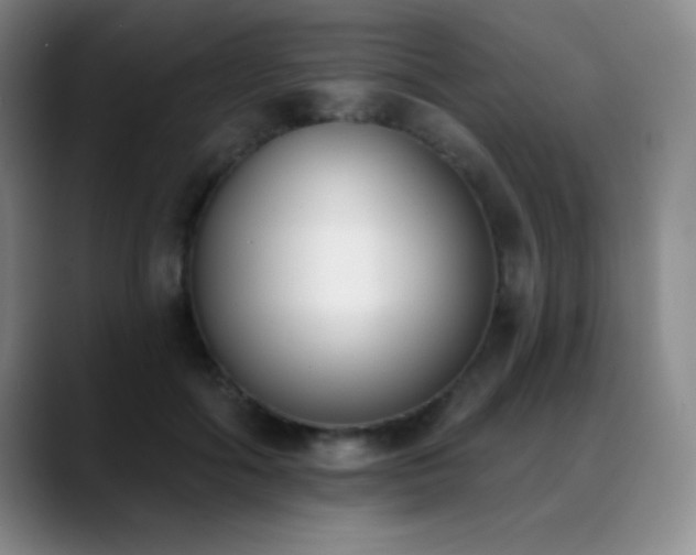 X0000089390602200706151223