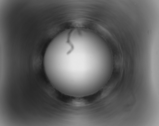 X0000089390603200706151223