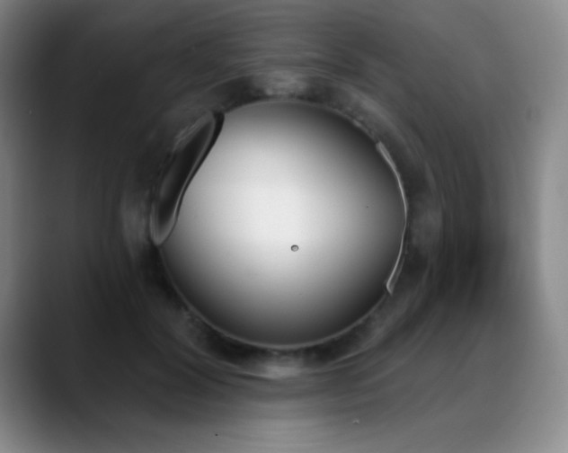 X0000089390604200706151223