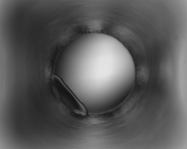 X0000089390608200706151223
