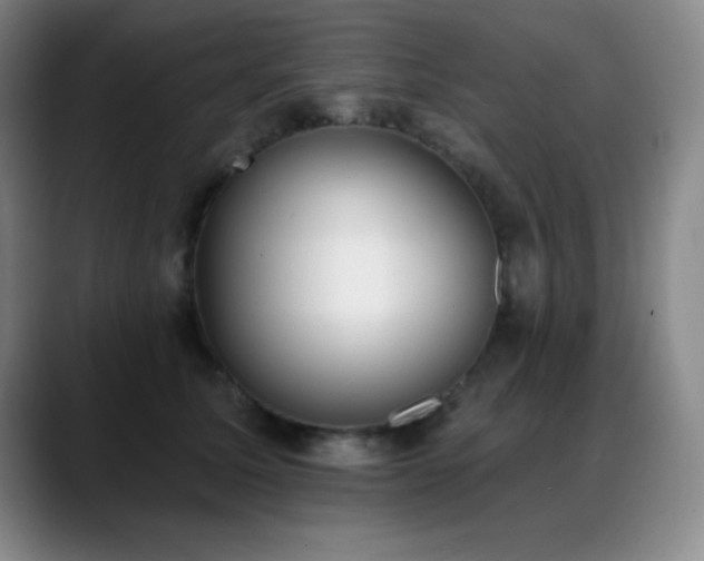 X0000089390611200706151223