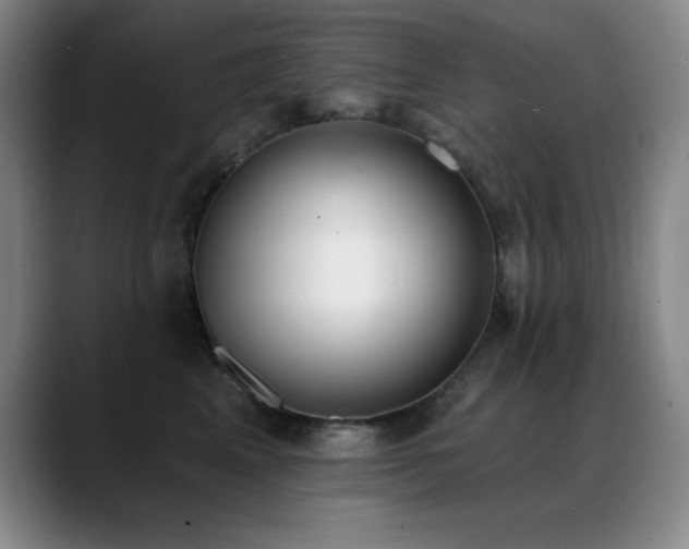 X0000089390617200706151223