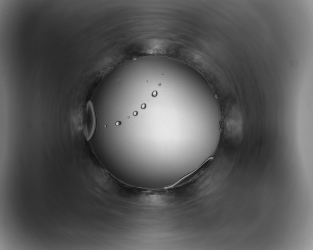 X0000089390620200706151223