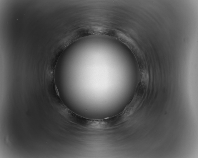 X0000089390621200706151223