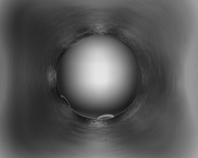 X0000089390624200706151223