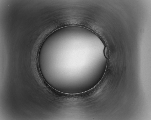 X0000089390625200706151223