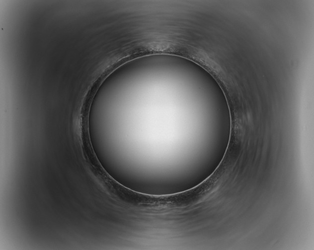 X0000089390626200706151223