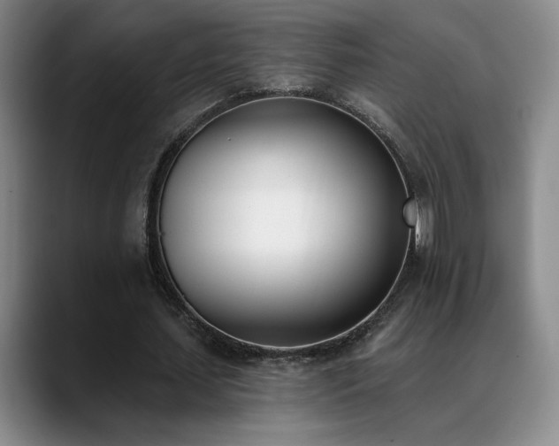 X0000089390627200706151223