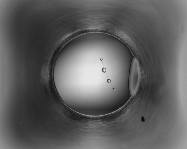 X0000089390628200706151223
