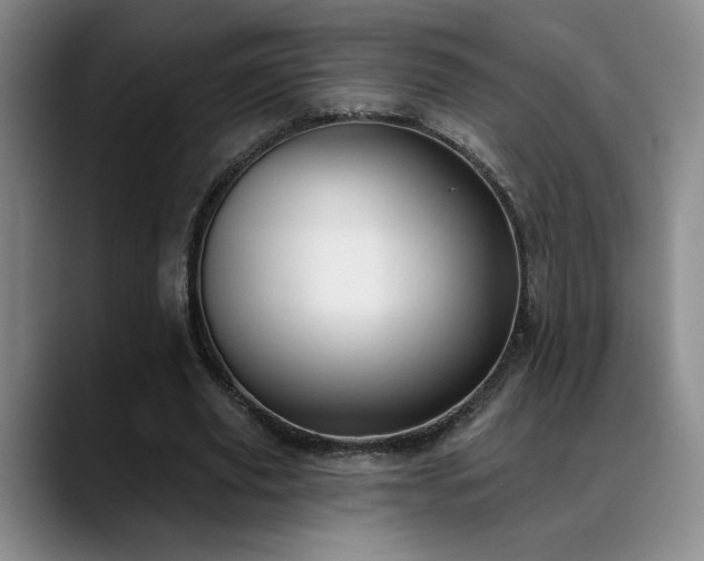 X0000089390629200706151223