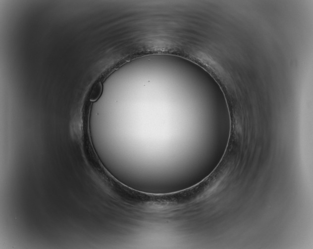 X0000089390630200706151223