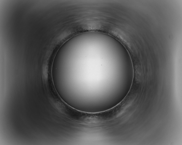X0000089390631200706151223
