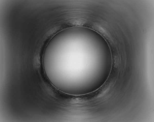 X0000089390634200706151223
