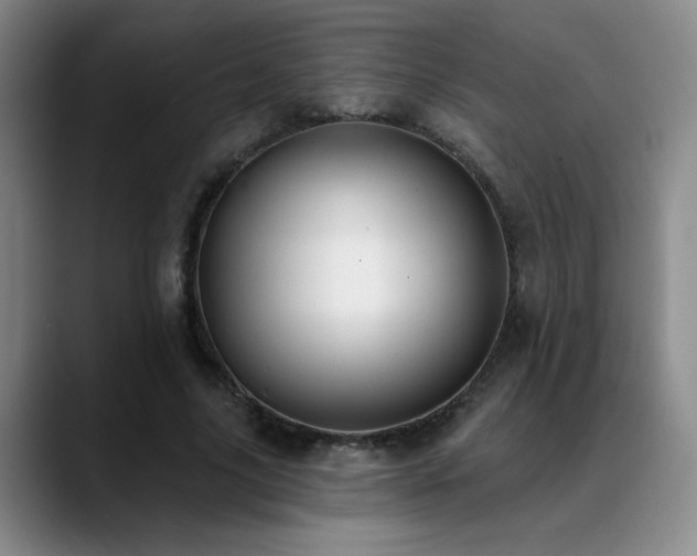 X0000089390635200706151223
