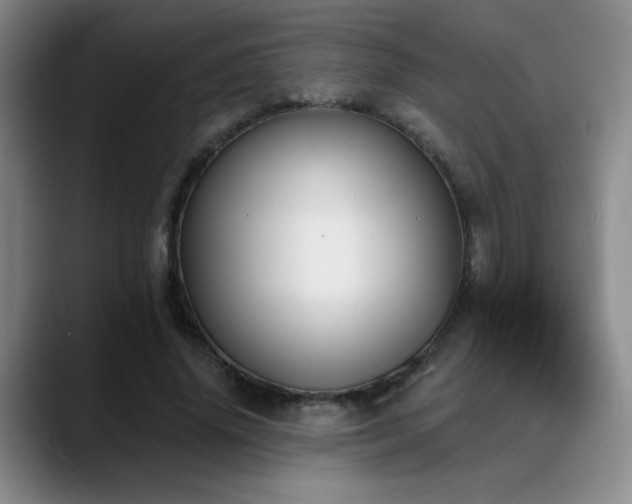 X0000089390636200706151223