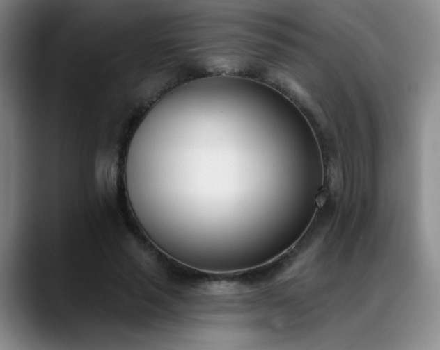 X0000089390637200706151223