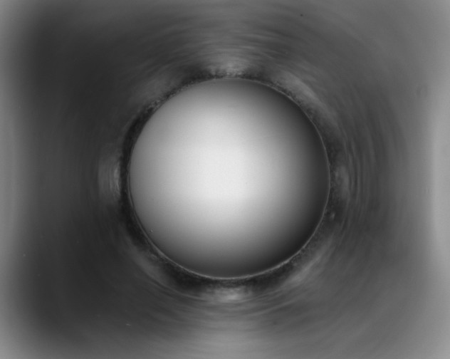X0000089390638200706151223