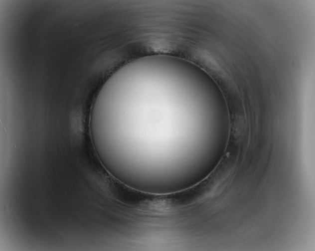 X0000089390639200706151223