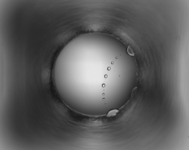 X0000089390640200706151223