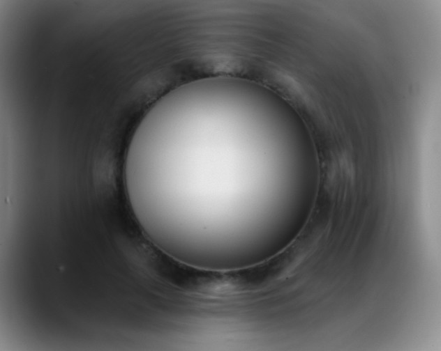 X0000089390643200706151223