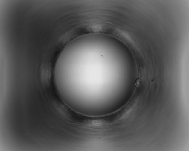 X0000089390645200706151223