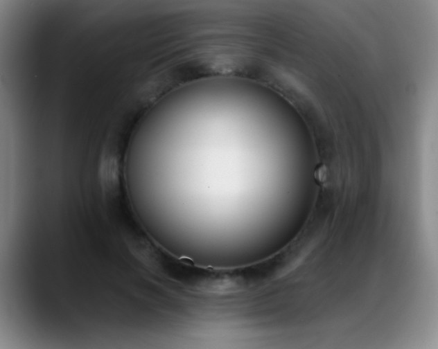 X0000089390646200706151223