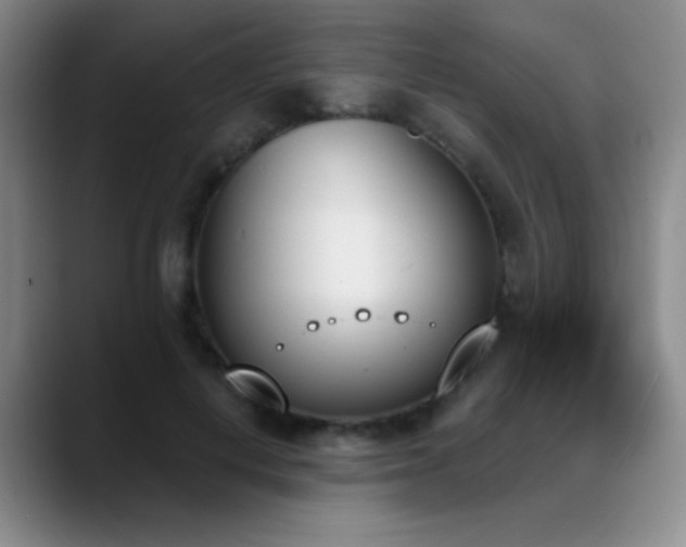 X0000089390648200706151223