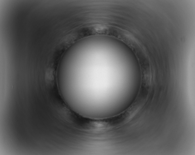 X0000089390654200706151223