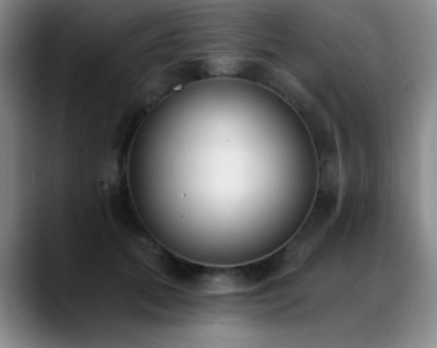 X0000089390655200706151223
