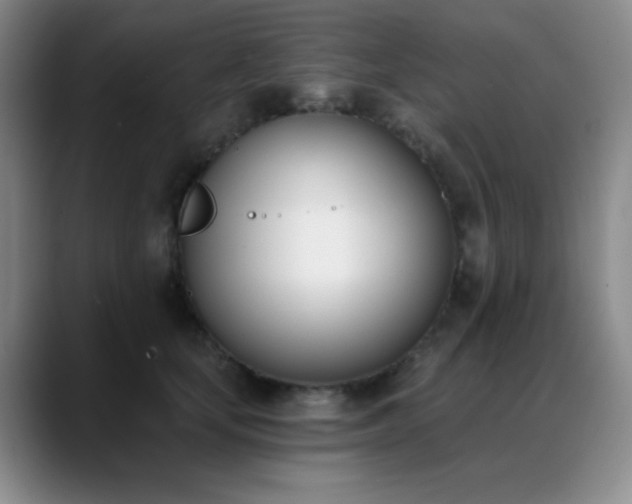X0000089390659200706151223