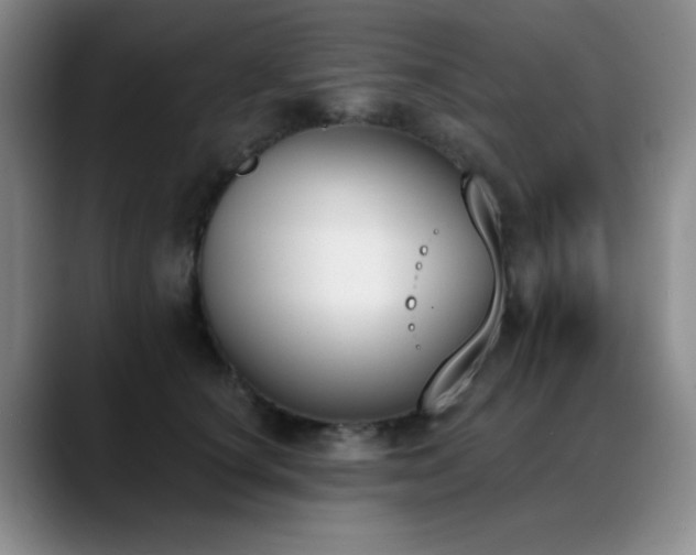 X0000089390660200706151223