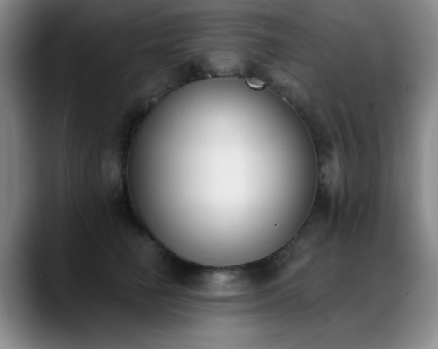 X0000089390662200706151223
