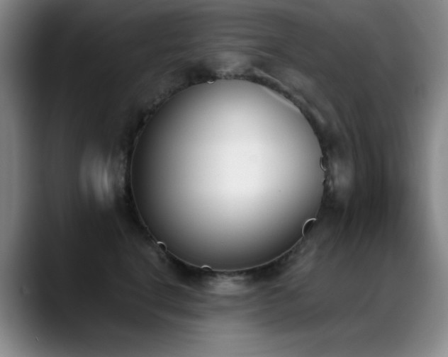 X0000089390664200706151223
